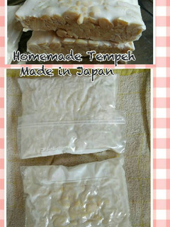 Foto resep Homemade Tempe