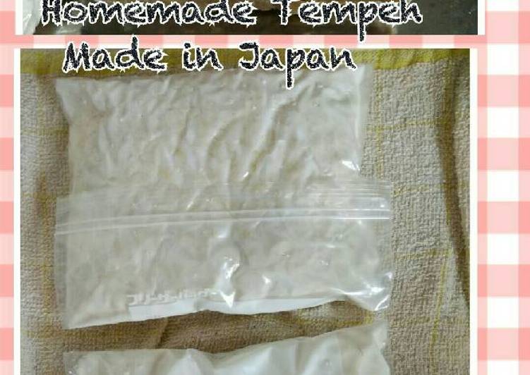 Cara Gampang Membuat Homemade Tempe Anti Gagal