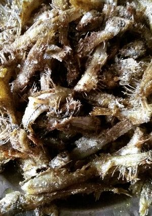 A picture of Mouralla fish fry.