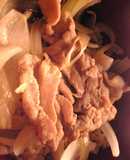 Pork and Onion Rice Bowl
