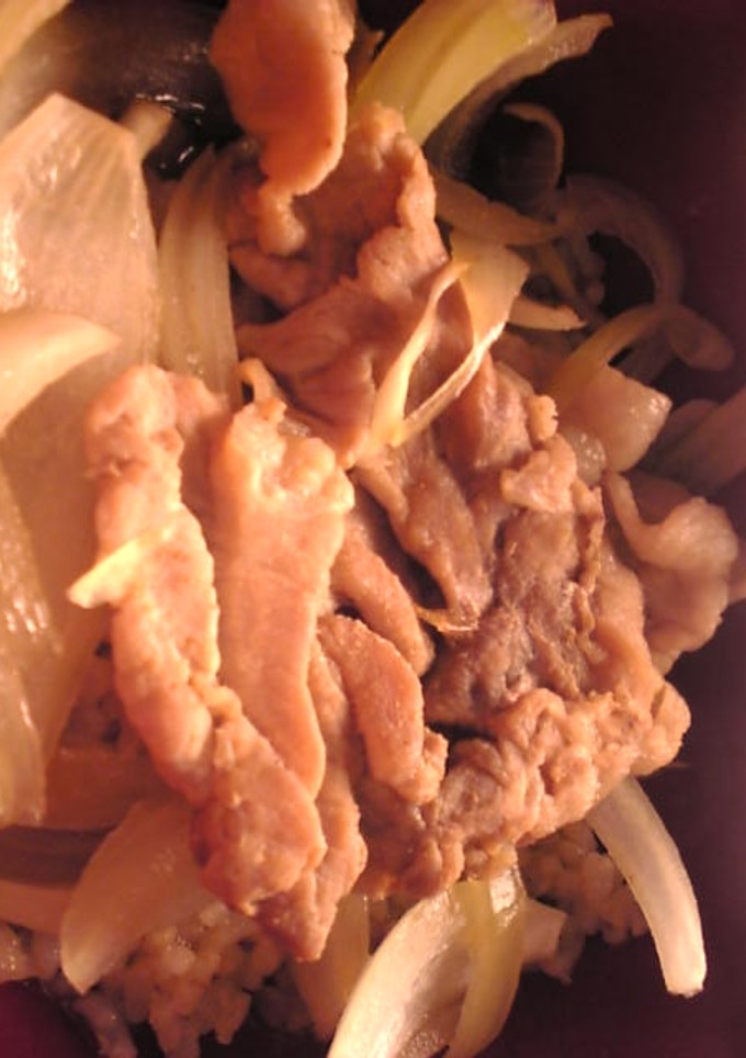 A picture of Pork and Onion Rice Bowl.