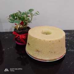 A picture of Chiffon PandanSource : cici Tintin.