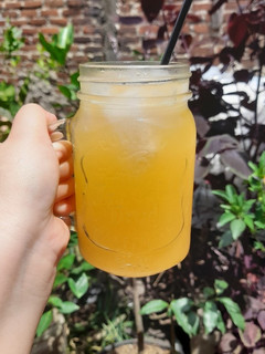 Foto resep Jeruk Peras Segar