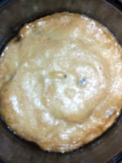 A picture of Cookie for one!.