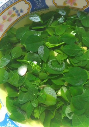 Foto resep Sayur Bening Kelor