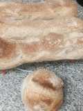 Baguettes sin gluten