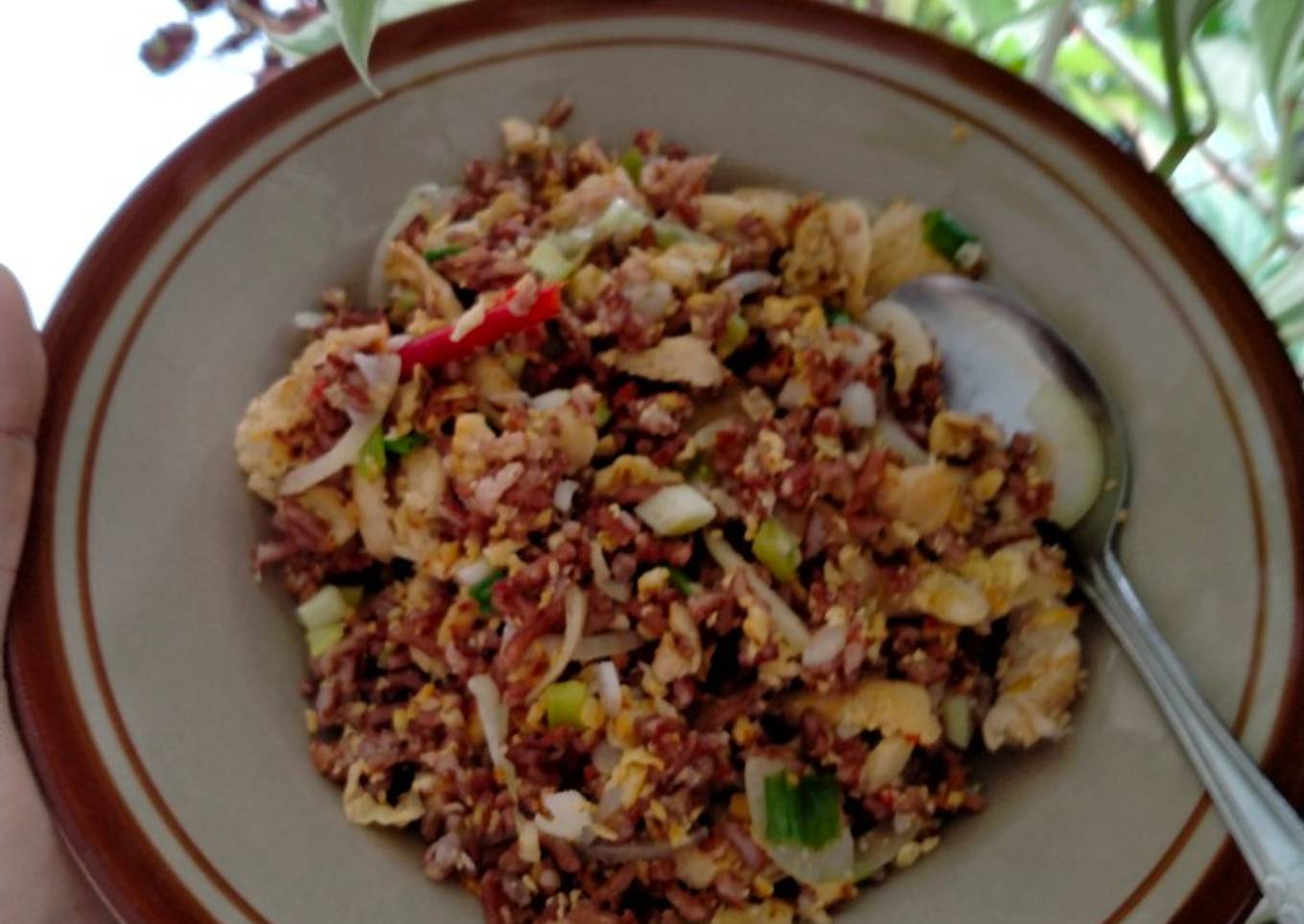 Nasi merah goreng tanpa minyak