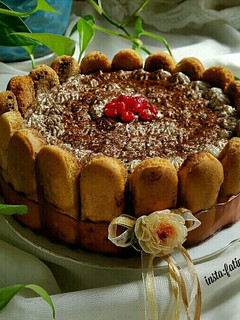 عکسی از دستور تیرامیسو