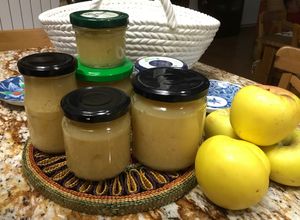 Foto principal de Compota de manzana en Thermomix