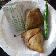 A picture of Palak samosa.