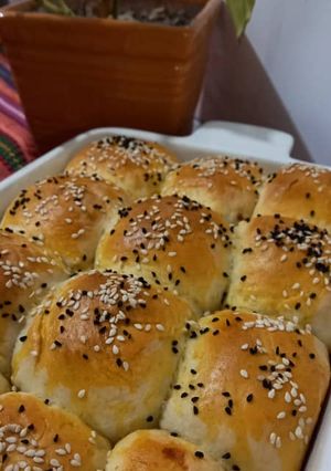 عکسی از دستور پیراشکی مرغ😋😋