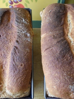 Una foto de Pan de molde integral con germen de trigo {tradicional y en panificadora}
