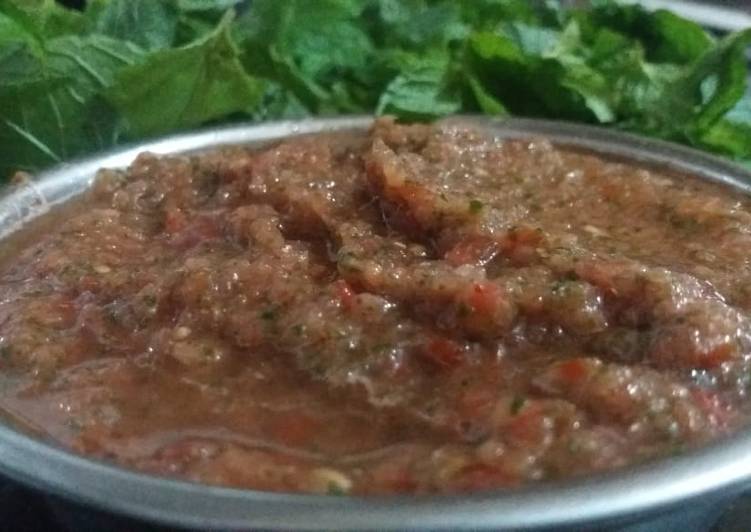 Recipe of Quick Pudina chutney