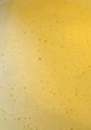 Une photo de Crème anglaise