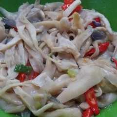 รูปของ Tumis Jamur Tiram