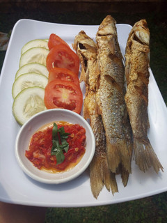 Foto resep Ikan belanak goreng sambal korek