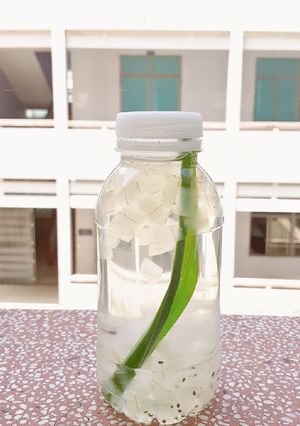Hình của món Nha đam đường phèn.