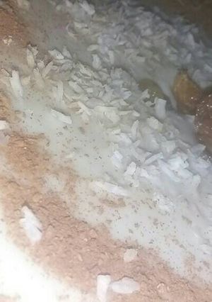 صورة لوصفة مهلبية بالقشطة