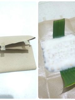 Foto resep Tempe Homemade Ala Mendoan ✅