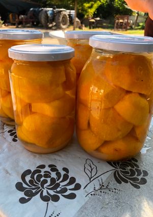 Φωτογραφία της συνταγής Κομπόστα