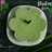 Puding Tape Ketan Hijau