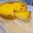 Egg Tart (Pie Susu)