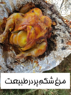 عکسی از دستور مرغ شکم پُر در طبیعت