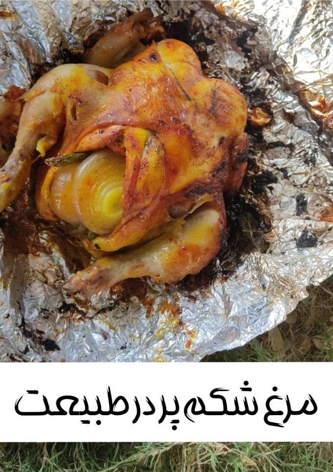 عکسی از دستور مرغ شکم پُر در طبیعت