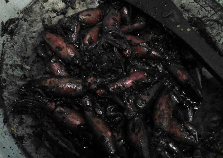 Cumi Tumis Pedas Mantap dan paling sederhana