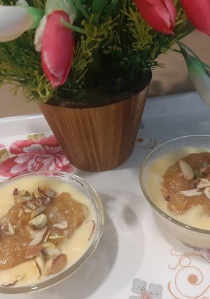 A picture of Khubani ka Meetha.