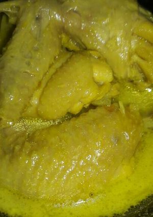 Foto resep Opor ayam ala bunda zalfan