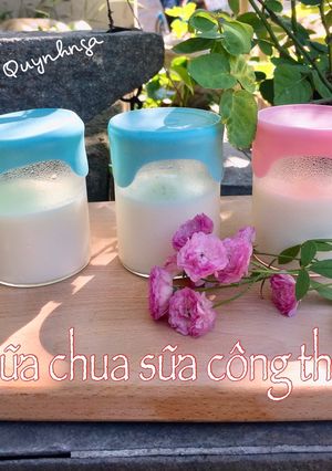 Hình của món Sữa chua từ sữa công thức.