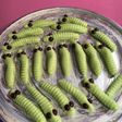 Cookies caterpillar/kuker ulat