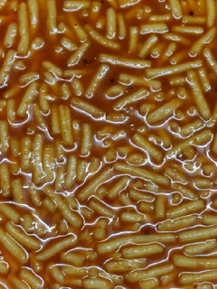 A picture of Ganthiya nu Shake.