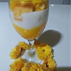 A picture of Mango dessert.