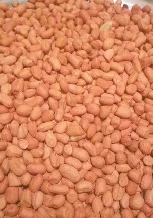 A picture of Roasted Peanuts.