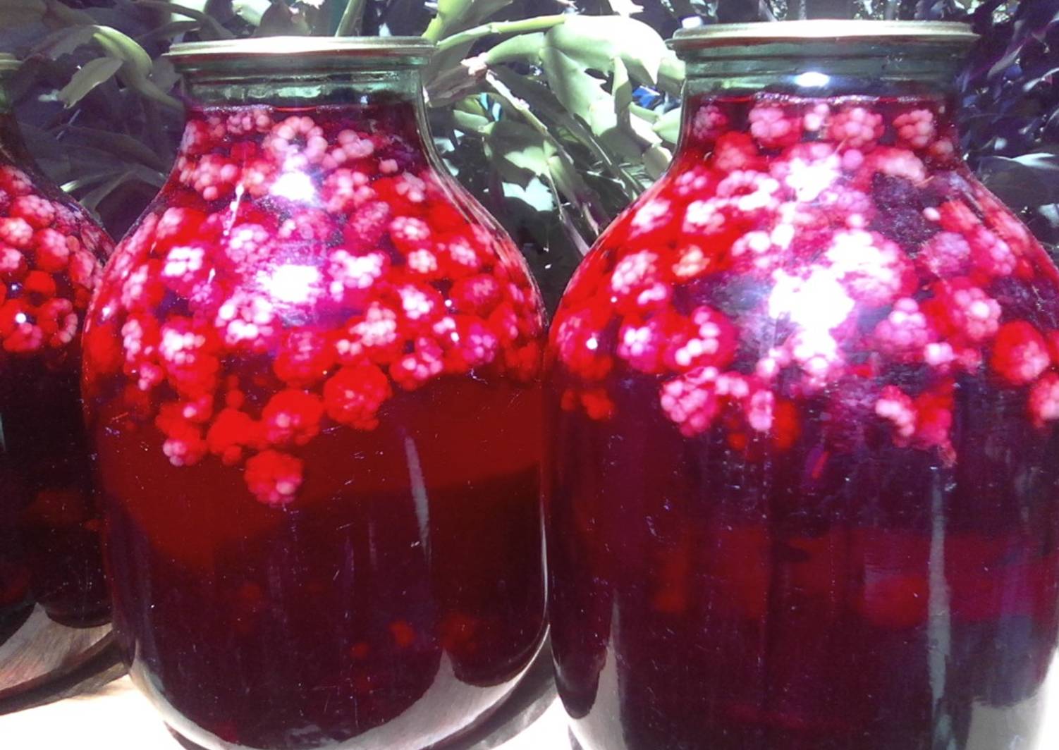 Компот из красной смородины и малины. Компот. Компот из малины и смородины на зиму. Компот ассорти из ягод. Красная смородина компот.
