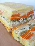 Terrina multicolor