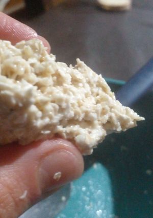 Una foto de Trufas de Avena, Miel y Leche + miel de leche/falso dulce de leche con miel