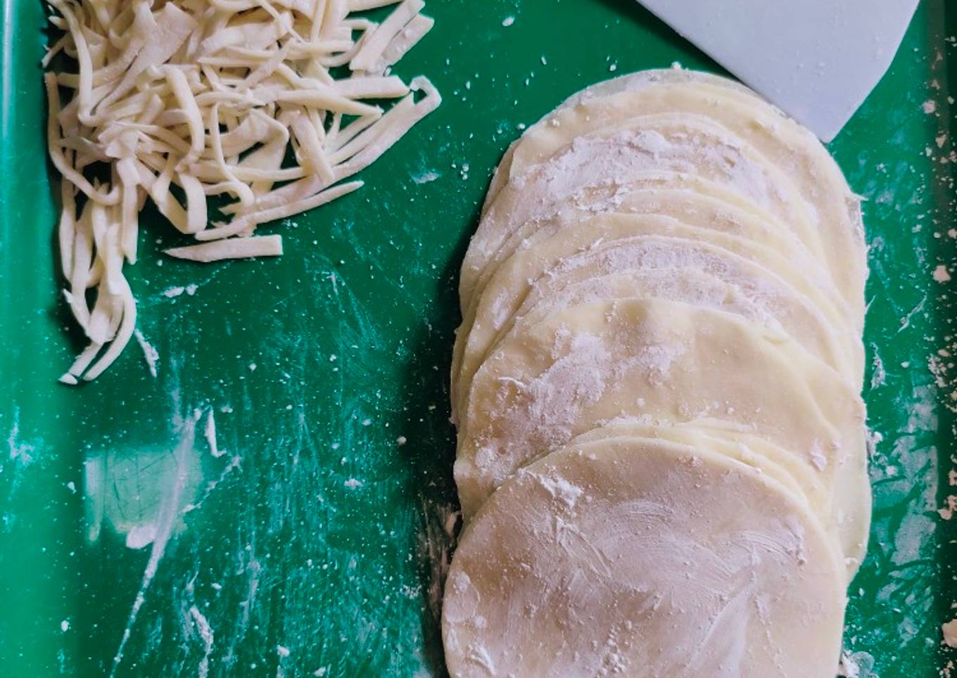 Kulit Gyoza