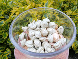 Galletas de merengue