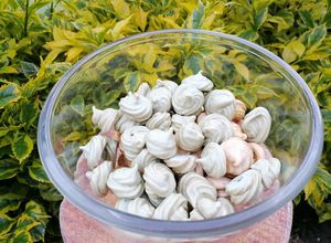 Una foto de Galletas de merengue