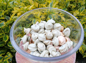 Una foto de Galletas de merengue