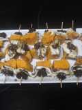 Banderillas de boniato, calamares y boquerones en vinagre
