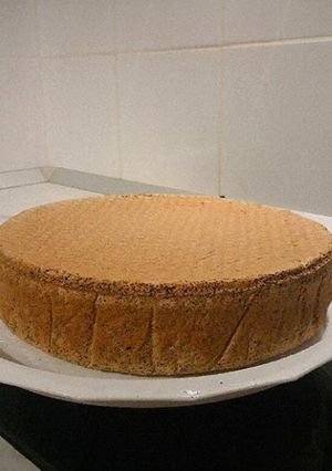 O poză a rețetei Blat de tort Tosca.