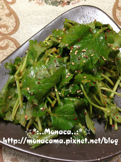 韓式涼拌茴芹참나물겉절이 的食譜成品照片