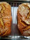 Ciabatta de kamut integral