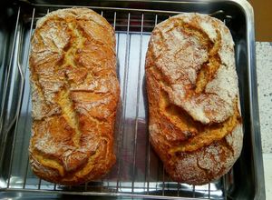 Foto principal de Ciabatta de kamut integral