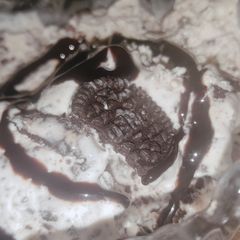 A picture of Oreo ice cream.