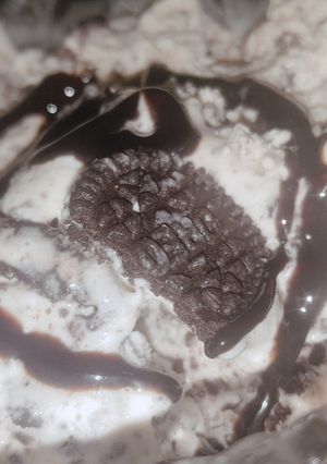 A picture of Oreo ice cream.